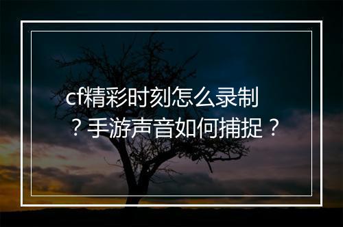 cf精彩时刻怎么录制？手游声音如何捕捉？