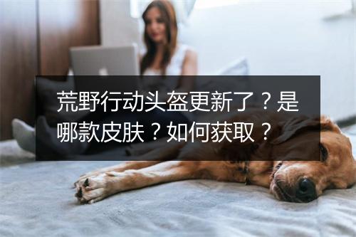 荒野行动头盔更新了?是哪款皮肤?如何获取?