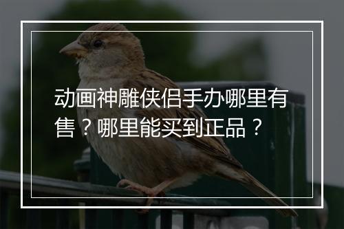 动画神雕侠侣手办哪里有售？哪里能买到正品？