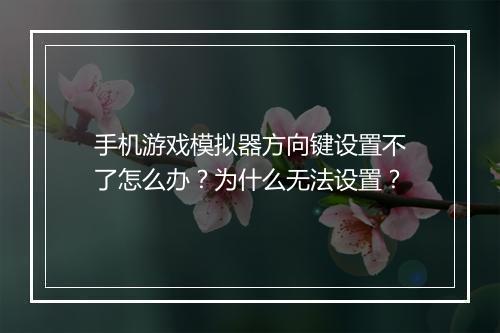 手机游戏模拟器方向键设置不了怎么办？为什么无法设置？