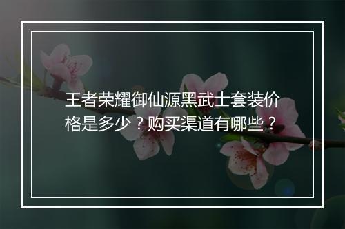 王者荣耀御仙源黑武士套装价格是多少？购买渠道有哪些？