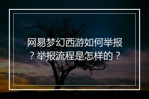 网易梦幻西游如何举报？举报流程是怎样的？