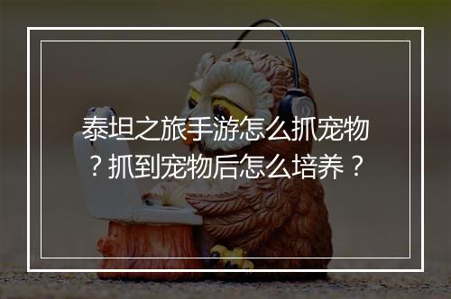 泰坦之旅手游怎么抓宠物？抓到宠物后怎么培养？