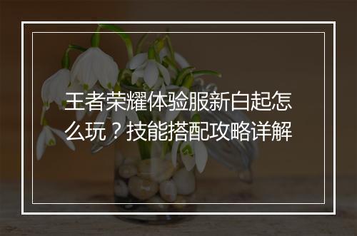 王者荣耀体验服新白起怎么玩？技能搭配攻略详解