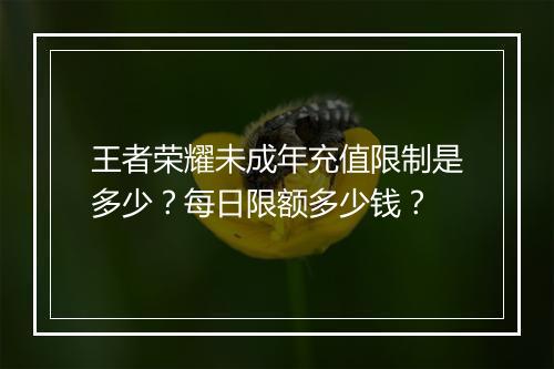 王者荣耀未成年充值限制是多少？每日限额多少钱？