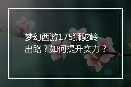 梦幻西游175狮驼岭出路？如何提升实力？