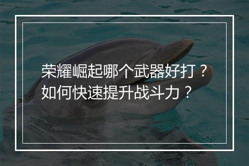 荣耀崛起哪个武器好打？如何快速提升战斗力？