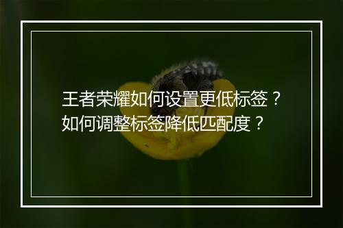 王者荣耀如何设置更低标签？如何调整标签降低匹配度？