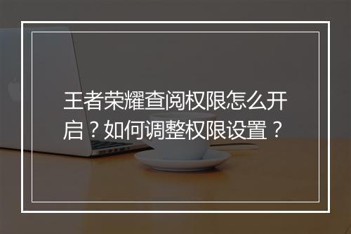 王者荣耀查阅权限怎么开启？如何调整权限设置？