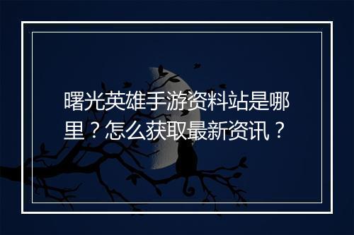 曙光英雄手游资料站是哪里？怎么获取最新资讯？
