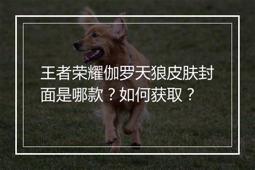 王者荣耀伽罗天狼皮肤封面是哪款？如何获取？