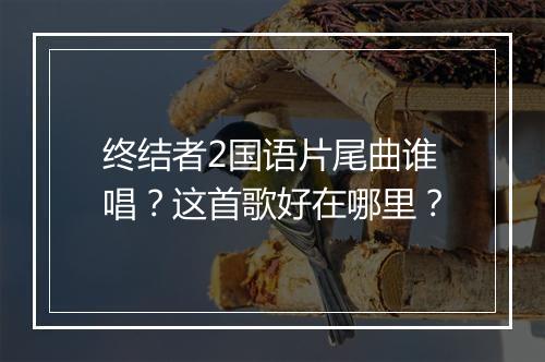 终结者2国语片尾曲谁唱？这首歌好在哪里？