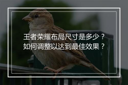 王者荣耀布局尺寸是多少？如何调整以达到最佳效果？
