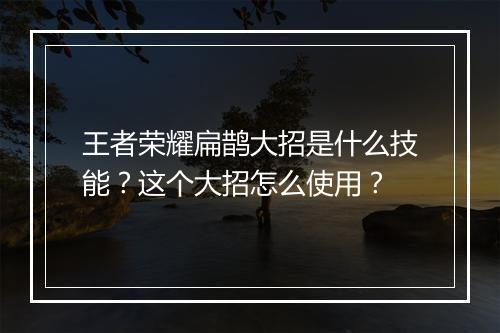 王者荣耀扁鹊大招是什么技能？这个大招怎么使用？