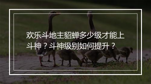 欢乐斗地主貂蝉多少级才能上斗神？斗神级别如何提升？