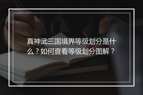 真神武三国境界等级划分是什么?如何查看等级划分图解?