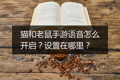 猫和老鼠手游语音怎么开启？设置在哪里？