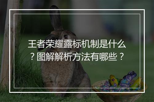 王者荣耀露标机制是什么？图解解析方法有哪些？