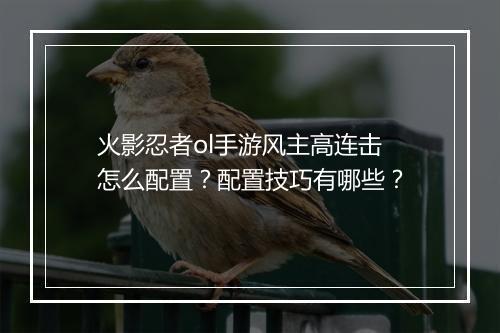 火影忍者ol手游风主高连击怎么配置？配置技巧有哪些？