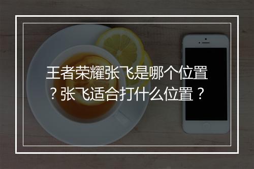 王者荣耀张飞是哪个位置？张飞适合打什么位置？
