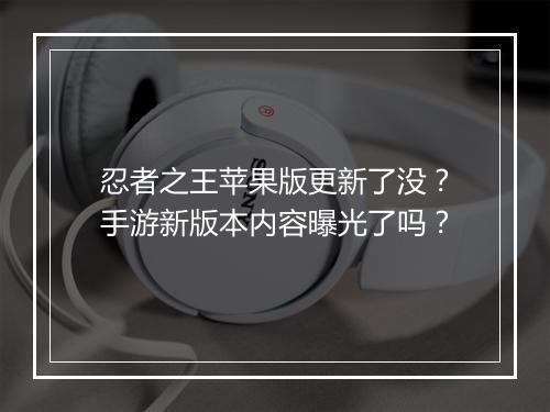 忍者之王苹果版更新了没?手游新版本内容曝光了吗?