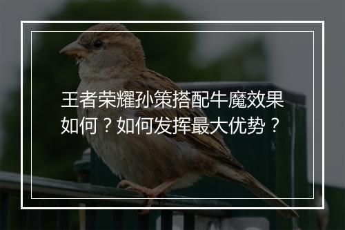 王者荣耀孙策搭配牛魔效果如何？如何发挥最大优势？