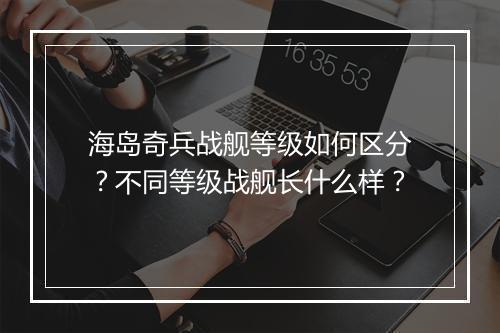 海岛奇兵战舰等级如何区分?不同等级战舰长什么样?