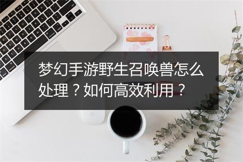 梦幻手游野生召唤兽怎么处理？如何高效利用？